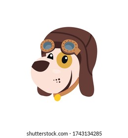 cute smiling dog using helmet as pilot vector illustration design