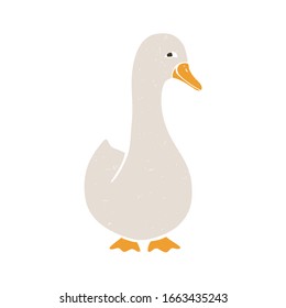 Cute smiling duck. Colored vector duck or goose isolated on a transparent background. Vector shabby hand drawn illustration