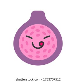 Cute smiling fig. Kawaii fruit character. Isolated colorful vector icon