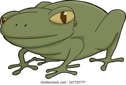 Cute smiling frog on isolated white background