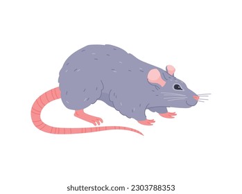 Cute sonriente gris estilo plano de rata de casa, ilustración vectorial aislada en fondo blanco. Animales domésticos, mascota graciosa, elemento de diseño decorativo, roedor