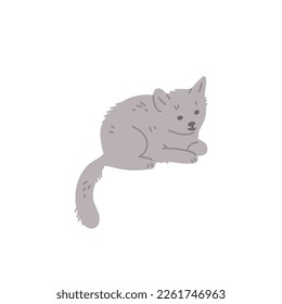 Cute smiling gray lying cat flat style, vector illustration isolated on white background. Funny domestic animal, adorable pet, decorative design element