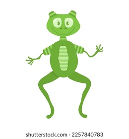 Cute smiling green frog in vector on white background