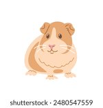 Cute smiling guinea pig pet doodle hand drawn character. Adorable fluffy pet animal in linear cartoon style. Editable stroke illustration