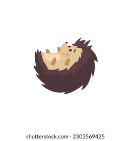 Cute smiling hedgehog lies on back flat style, vector illustration isolated on white background. Decorative design element, prickly childish character, forest animal