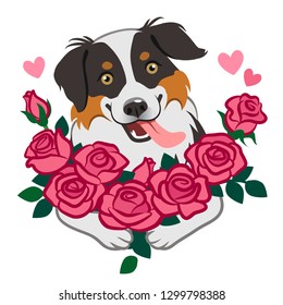 Cute smiling herding dog holding bouquet of roses vector cartoon illustration isolated on white. Pet lovers, friendship, love, Valentine's day, romance, dating, birthday, thank you greeting card theme