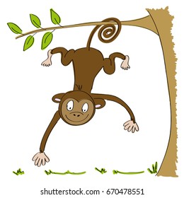 Cute smiling monkey hanging from the tree on its tail - original hand drawn illustration