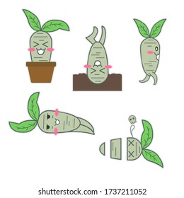Cute smiling radish vegetable cartoon character design, set of emotion, expression and pose on white isolated background, flat design simple style vector.
