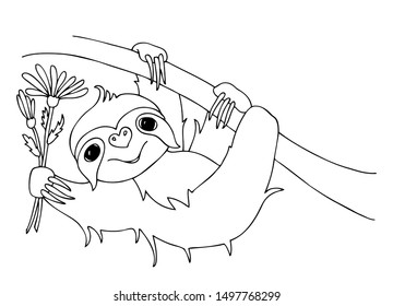 Download Coloring Book Sloth High Res Stock Images Shutterstock