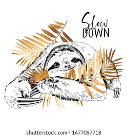 Cute smiling Sloth with a gold palm leaves. Slow down - lettering quote. Elegant poster, t-shirt composition, hand drawn style print. Vector illustration.