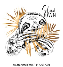 Cute smiling Sloth with a gold palm leaves. Slow down - lettering quote. Elegant poster, t-shirt composition, hand drawn style print. Vector illustration.