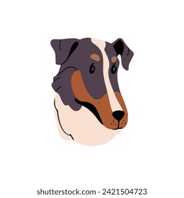 Cute Smooth Collie face. Puppy muzzle of Australian Shepherd. Happy pup of herding dog. Tricolor sheepdog portrait of shorthair breed. Funny pet avatar. Flat isolated vector illustration on white