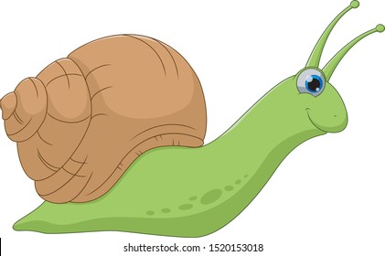 Cute snail cartoon isolated on white background