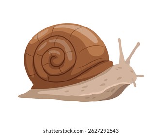Cute snail cartoon style on white background