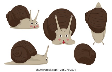 Cute snail character collection, vectors set