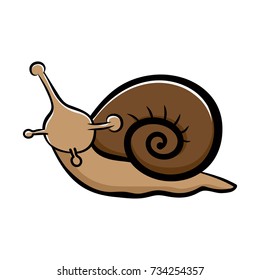 Cute snail isolated on white background  hand-drawn style Vector illustration.