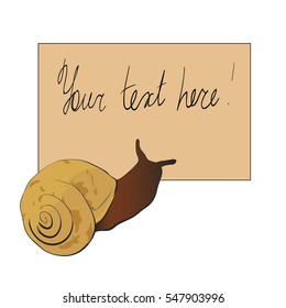 Cute snail looks into a text box, vector illustration