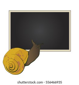 Cute snail looks into a text box, vector illustration.