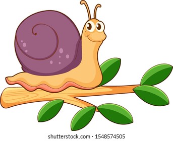 Cute snail on white background illustration