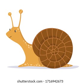 Cute snail on white background. Vector illustration.