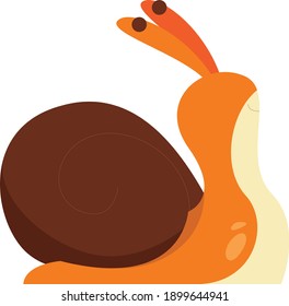 Cute snail on white background.