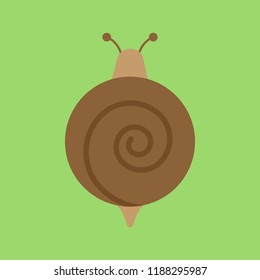 Cute snail round vector graphic icon. Brown land snail, mollusc animal illustration. Isolated on green background.