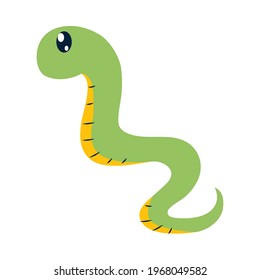 cute snake on white background