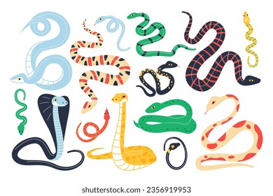 Cute snake reptile exotic animals set cartoon vector illustration. Serpents, cobra, python, kingsnake, trimeresurus salazar and insularis wild tropical nature creature isolated on white background