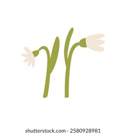 Cute snowdrop flowers on isolated background. Vector flat floral illustration in simple naive style. Spring wildflower clipart for holidays, women's day, birthday, mother's day designs, etc.