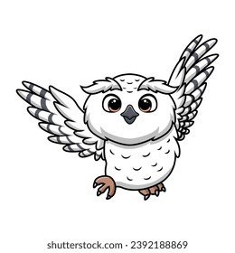 Cute snowy owl cartoon on white background