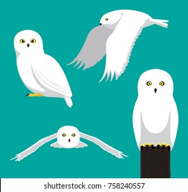 Cute Snowy Owl Cartoon Vector Illustration