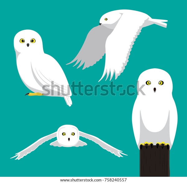 Cute Snowy Owl Cartoon Vector Illustration Stock Vector Royalty