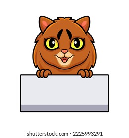 Cute somali cat cartoon holding blank sign