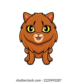 Cute somali cat cartoon posing