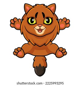 Cute somali cat cartoon posing