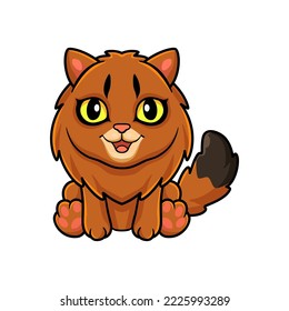 Cute somali cat cartoon sitting