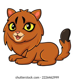 Cute somali cat cartoon sitting