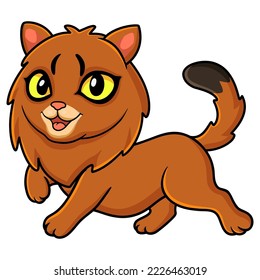 Cute somali cat cartoon walking