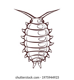 Cute sowbug in cartoon style, vector isolated on white. Monochrome brown outline icon.