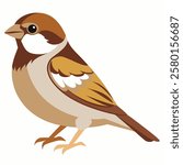 Cute sparrow cartoon bird. Suitable for educational posters, logos, children