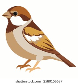 Cute sparrow cartoon bird. Suitable for educational posters, logos, children's books and encyclopedias. Children's picture. Vector illustration