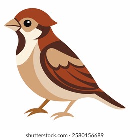 Cute sparrow cartoon bird. Suitable for educational posters, logos, children's books and encyclopedias. Children's picture. Vector illustration