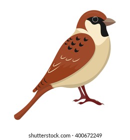 cute sparrow cartoon vector illustration isolated vector