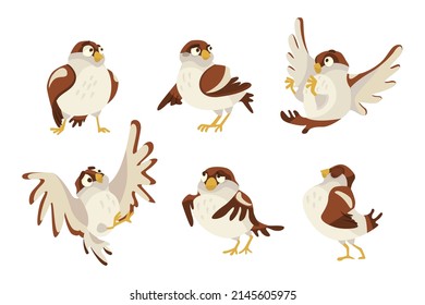 Cute sparrow in different poses cartoon illustration set. Funny small brown bird, expressing various emotion, walking, standing, flapping wings on white background. Animal, wildlife concept