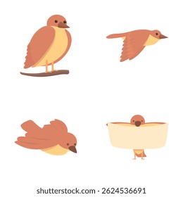 Cute sparrow icons set cartoon vector. Cheerful brown sparrow. Little bird