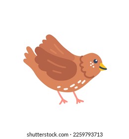 Cute sparrow, vector flat hand drawn illustration