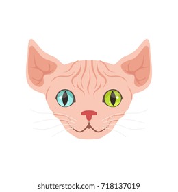 Cute sphinx cat with eyes of different colors, funny cartoon animal character vector illustration