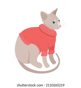 Cute sphinx cat wearing red sweater isometric icon vector illustration