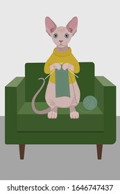 Cute sphynx breed cat in yellow sweater knitting on green chair. Anthropomorphic animal realistic flat vector illustration. 
