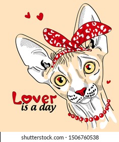 Cute Sphynx cat with  red bezel and beads . 
Pin up style. lover is a day - lettering quote. Humor card, t-shirt composition, hand drawn style print. Vector illustration.